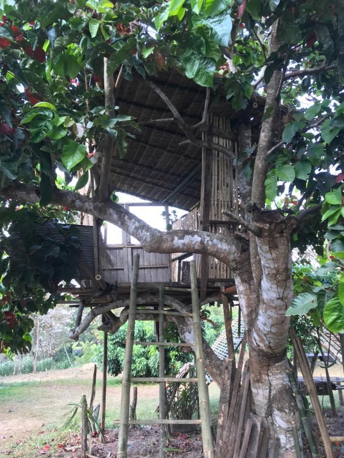 Amando_Tent Hotell Phayao Eksteriør bilde