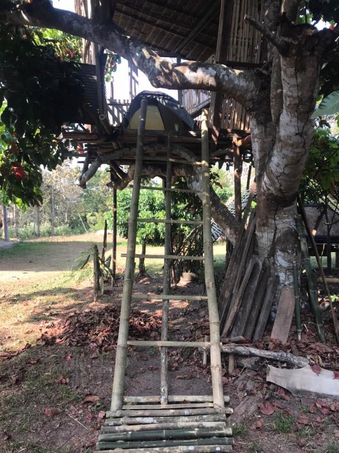 Amando_Tent Hotell Phayao Eksteriør bilde