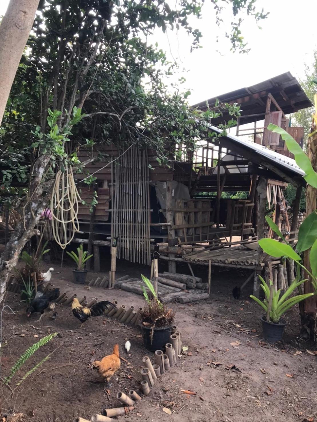 Amando_Tent Hotell Phayao Eksteriør bilde