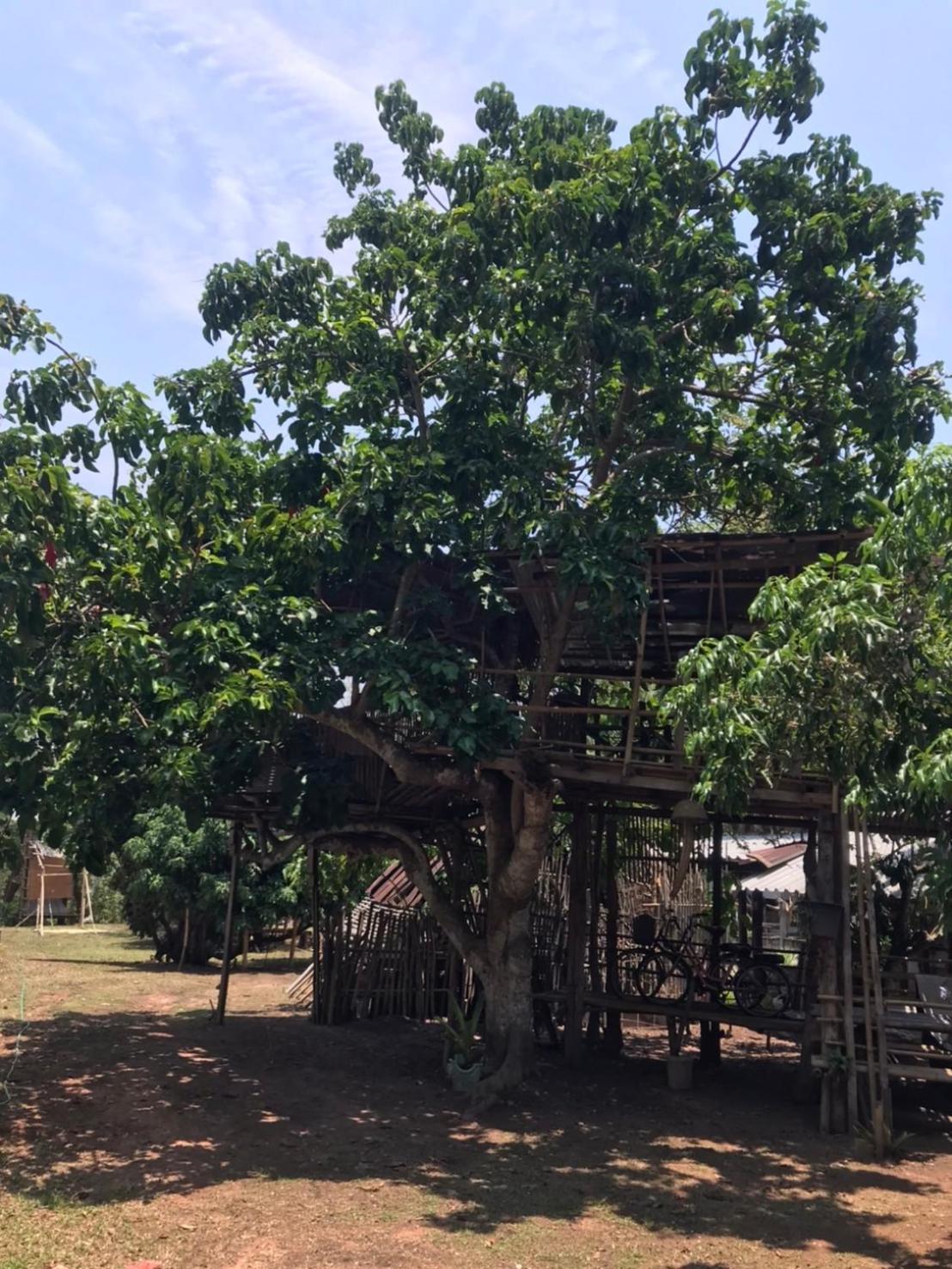 Amando_Tent Hotell Phayao Eksteriør bilde